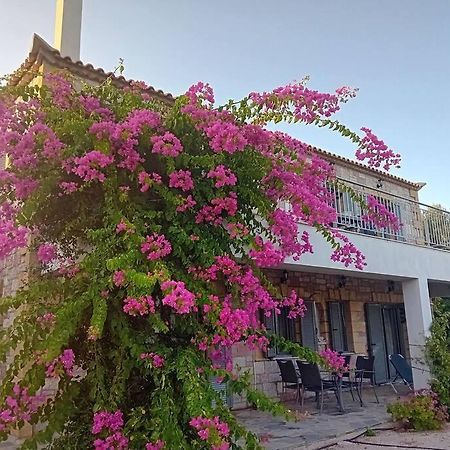 Sofia'S Summer House โคโรนิ ภายนอก รูปภาพ