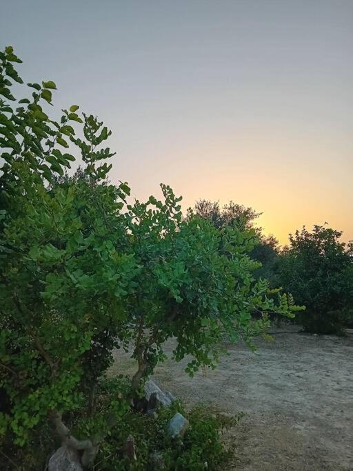 Sofia'S Summer House โคโรนิ ภายนอก รูปภาพ