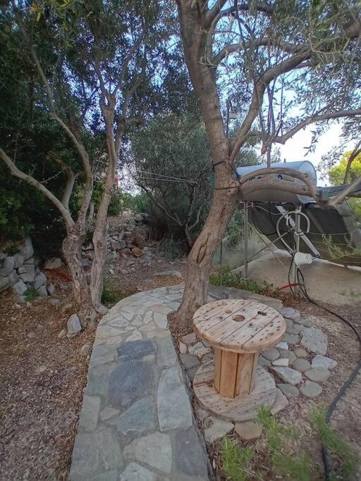 Sofia'S Summer House โคโรนิ ภายนอก รูปภาพ