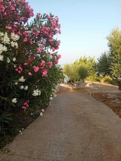 Sofia'S Summer House โคโรนิ ภายนอก รูปภาพ