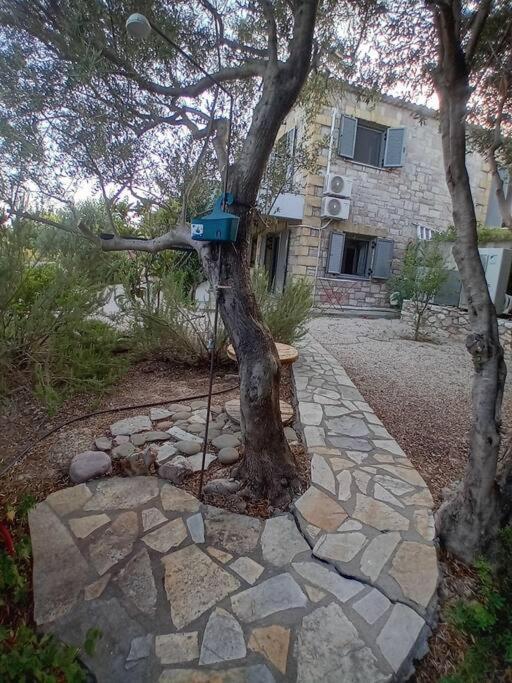Sofia'S Summer House โคโรนิ ภายนอก รูปภาพ