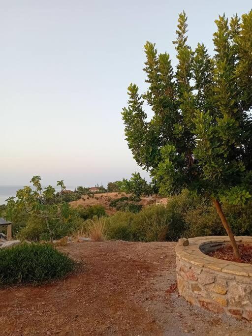 Sofia'S Summer House โคโรนิ ภายนอก รูปภาพ