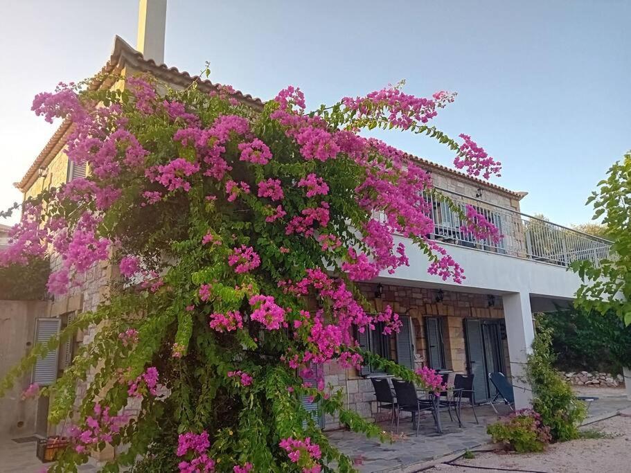 Sofia'S Summer House โคโรนิ ภายนอก รูปภาพ