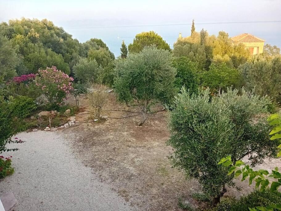 Sofia'S Summer House โคโรนิ ภายนอก รูปภาพ